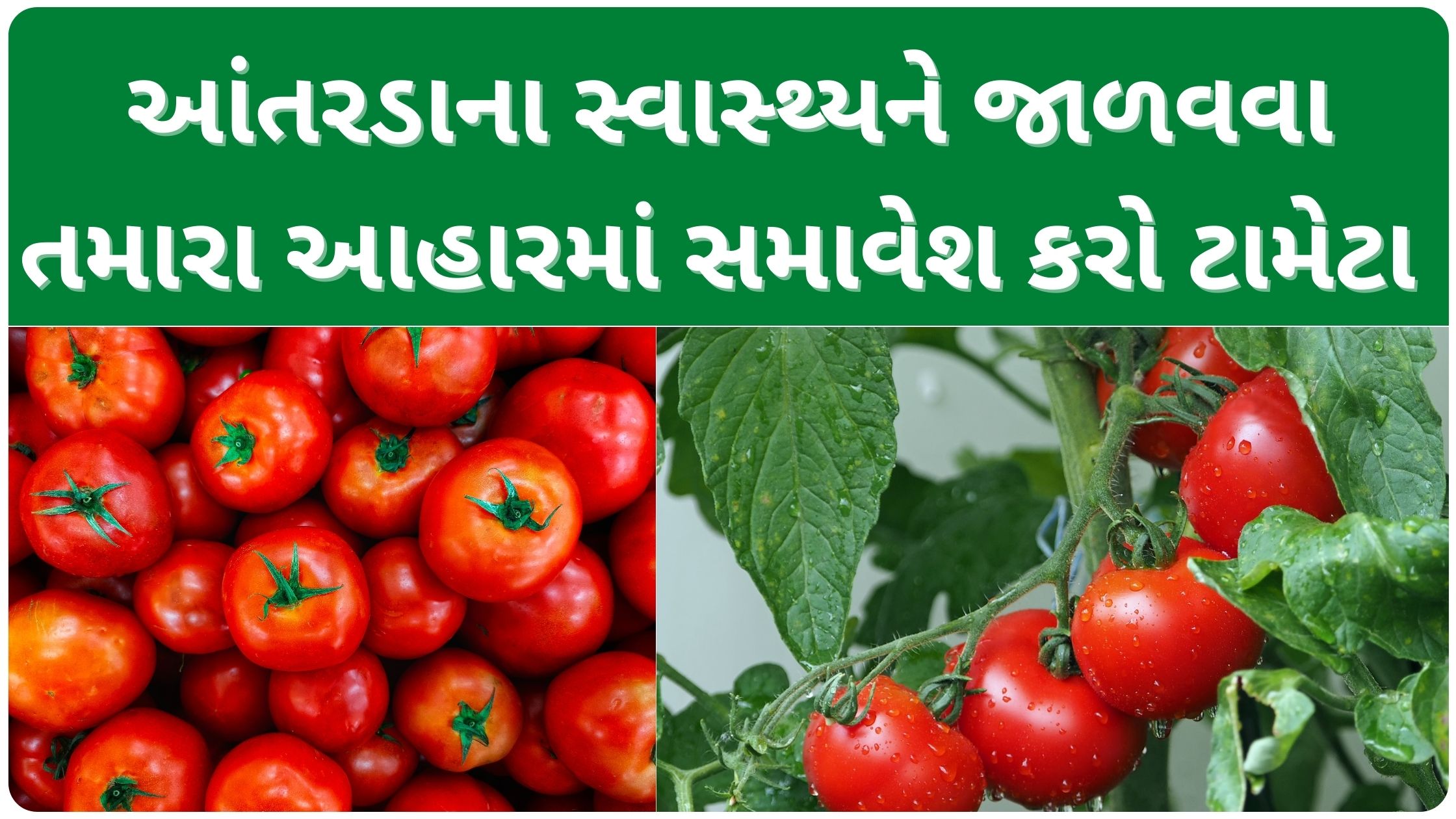 tomato benefits for weight loss